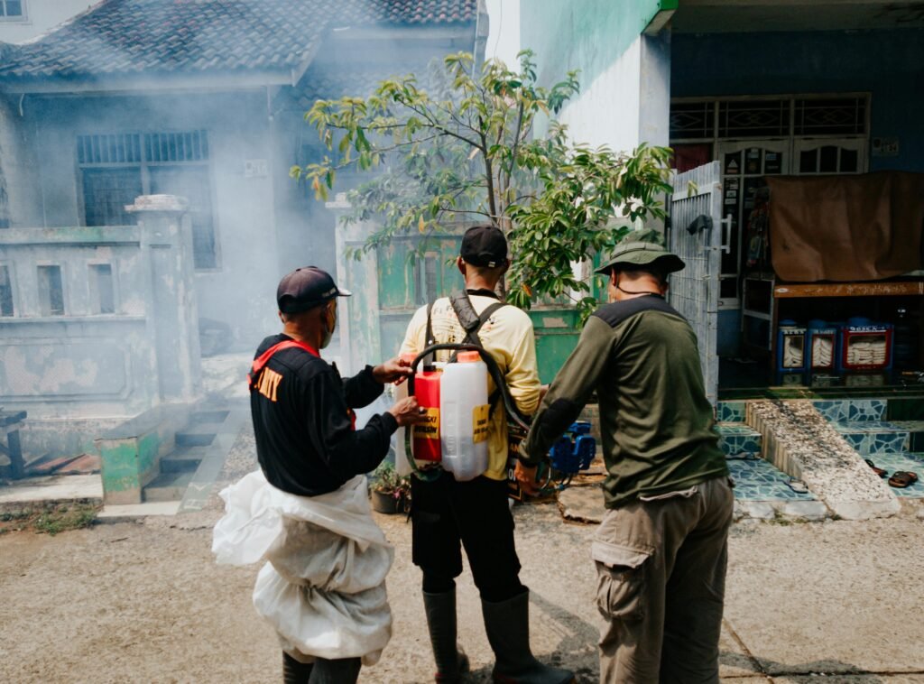 pest control seo